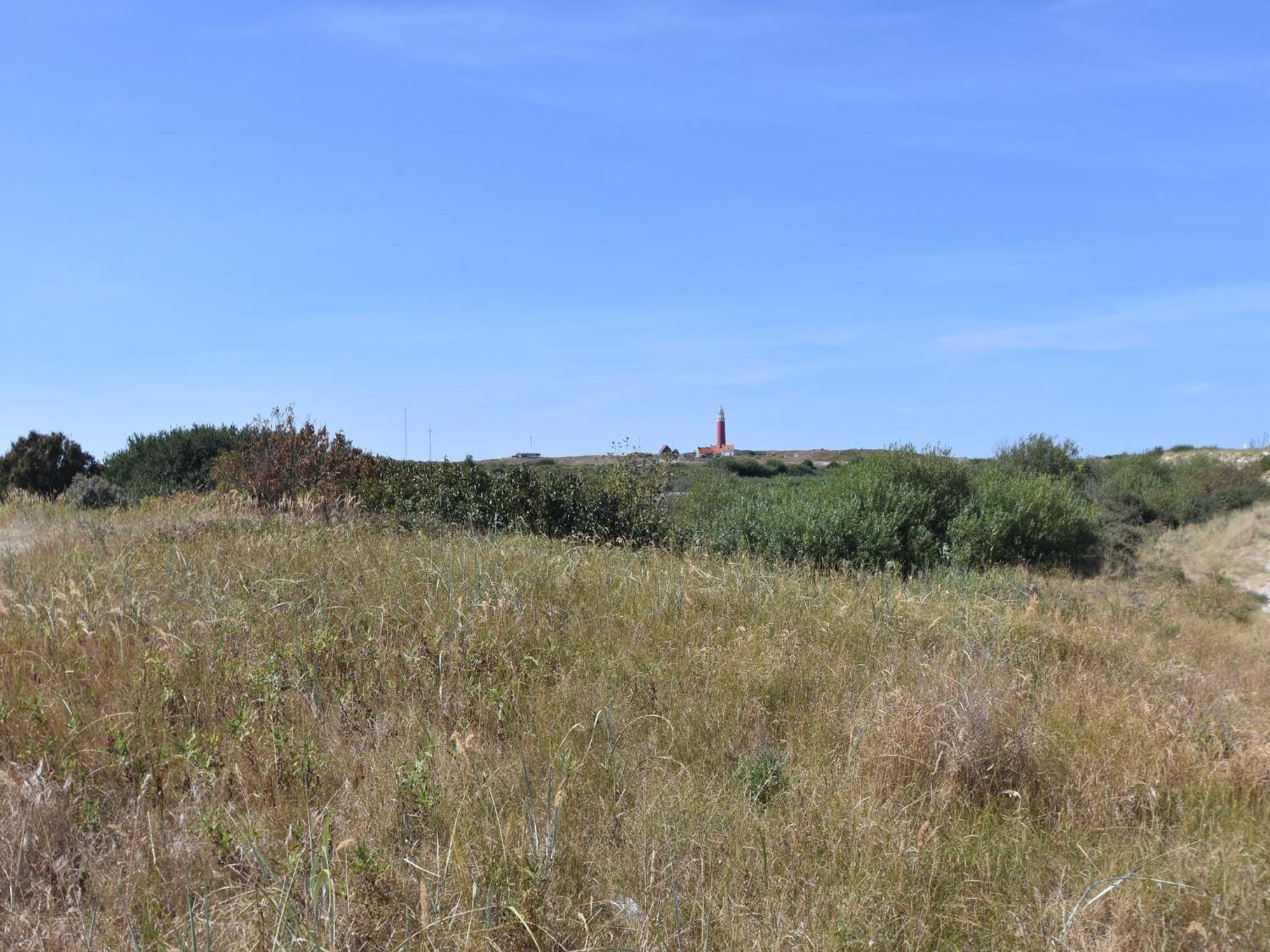 Great Holiday Home Energy Neutral On Texel With Sauna And Sun Shower Westermient Екстер'єр фото